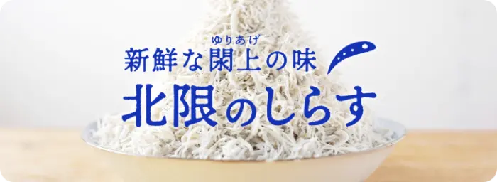新鮮な閖上の味 北限のしらす