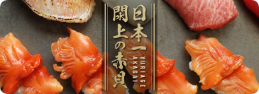 日本一閖上の赤貝