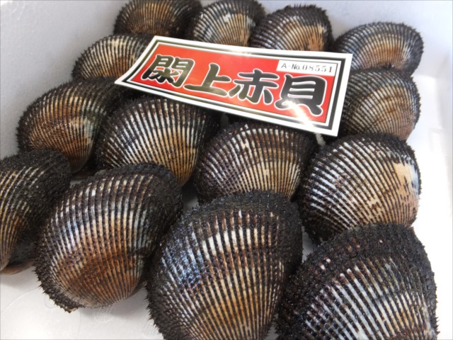 閖上赤貝