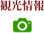 観光情報