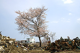 閖上中学校